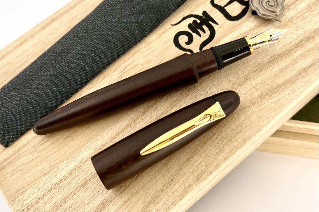 Platinum Izumo-Tagayasan Matte Fountain Pen