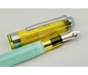 Sailor Limited Edition ProGear Slim Manyo Bamboo Shoot Fountain Pen Set