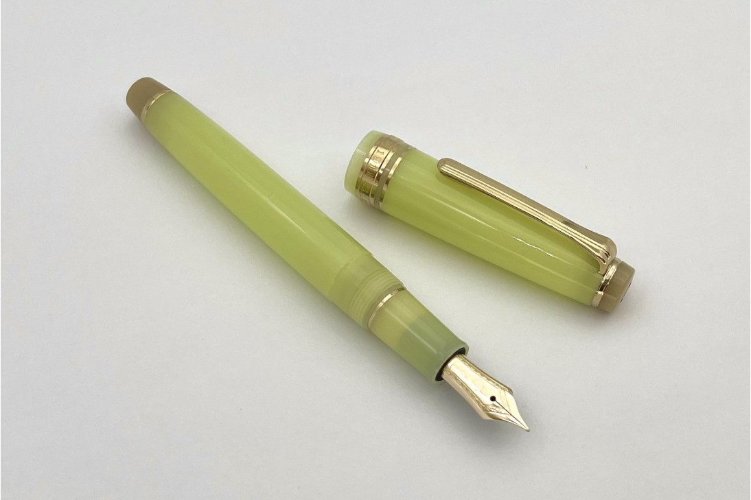 Sailor ProGear Slim Solar Term Fuki Fountain Pen