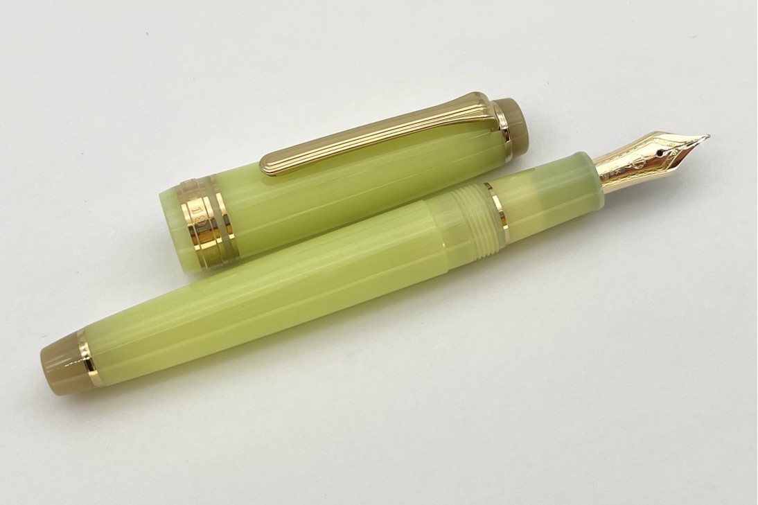 Sailor ProGear Slim Solar Term Fuki Fountain Pen