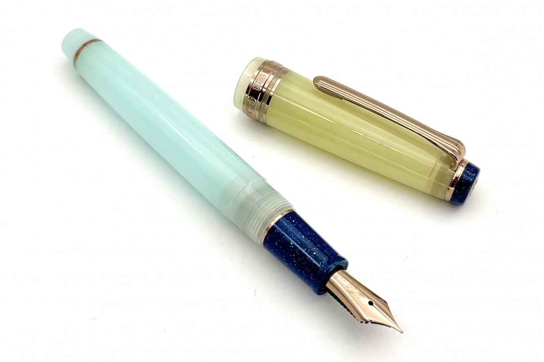 Sailor Progear Slim Dried Flower Hydrangea Fountain Pen