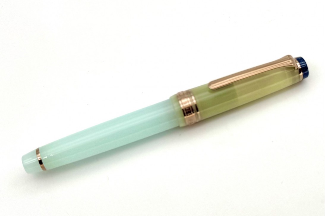 Sailor Progear Slim Dried Flower Hydrangea Fountain Pen