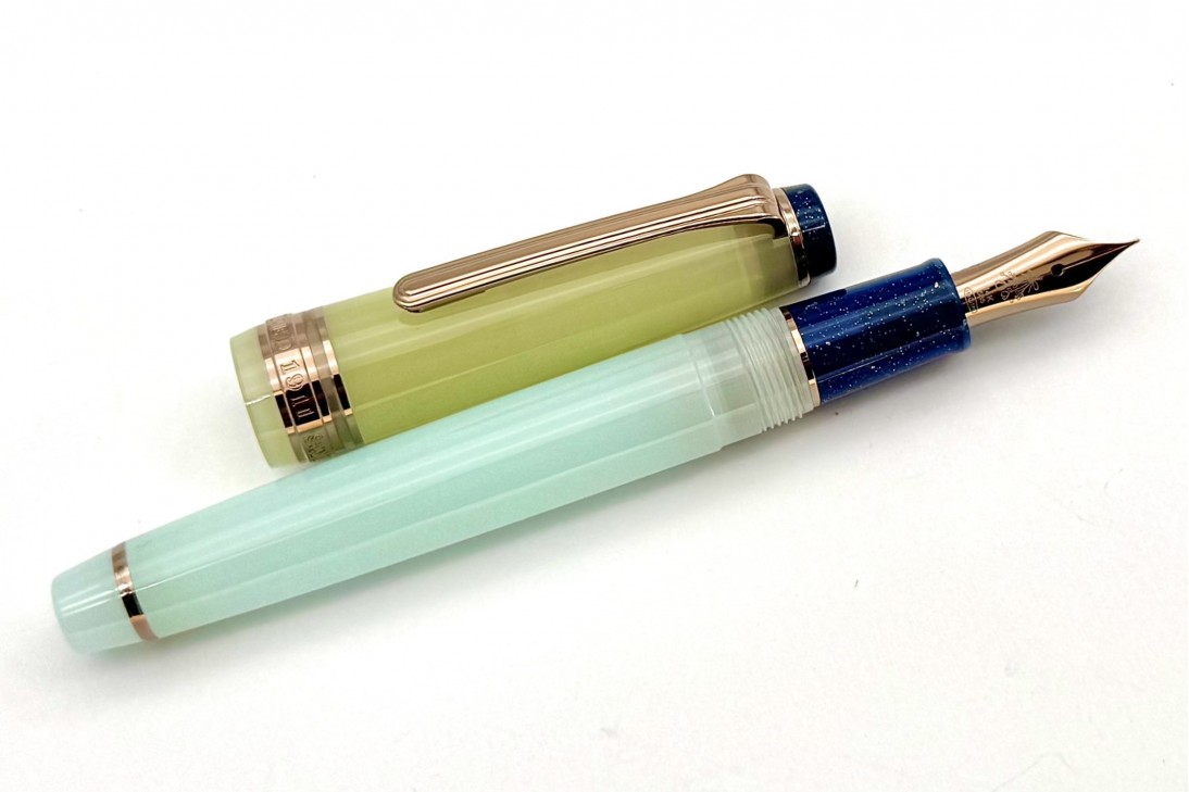 Sailor Progear Slim Dried Flower Hydrangea Fountain Pen