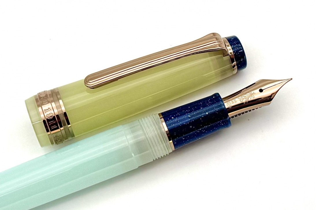 Sailor Progear Slim Dried Flower Hydrangea Fountain Pen