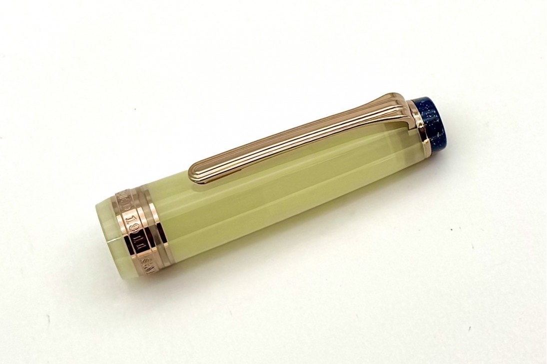 Sailor Progear Slim Dried Flower Hydrangea Fountain Pen