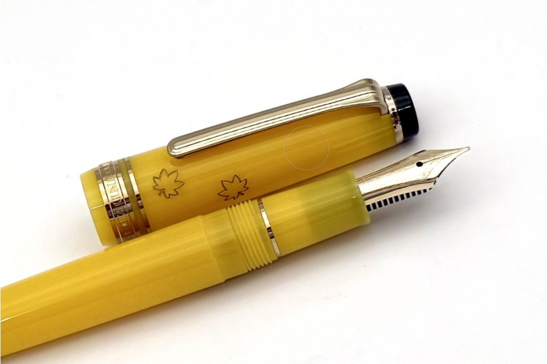 Sailor Professional Gear Slim
